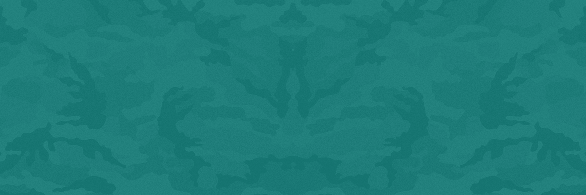 Supporting Veterans and Military Spouses