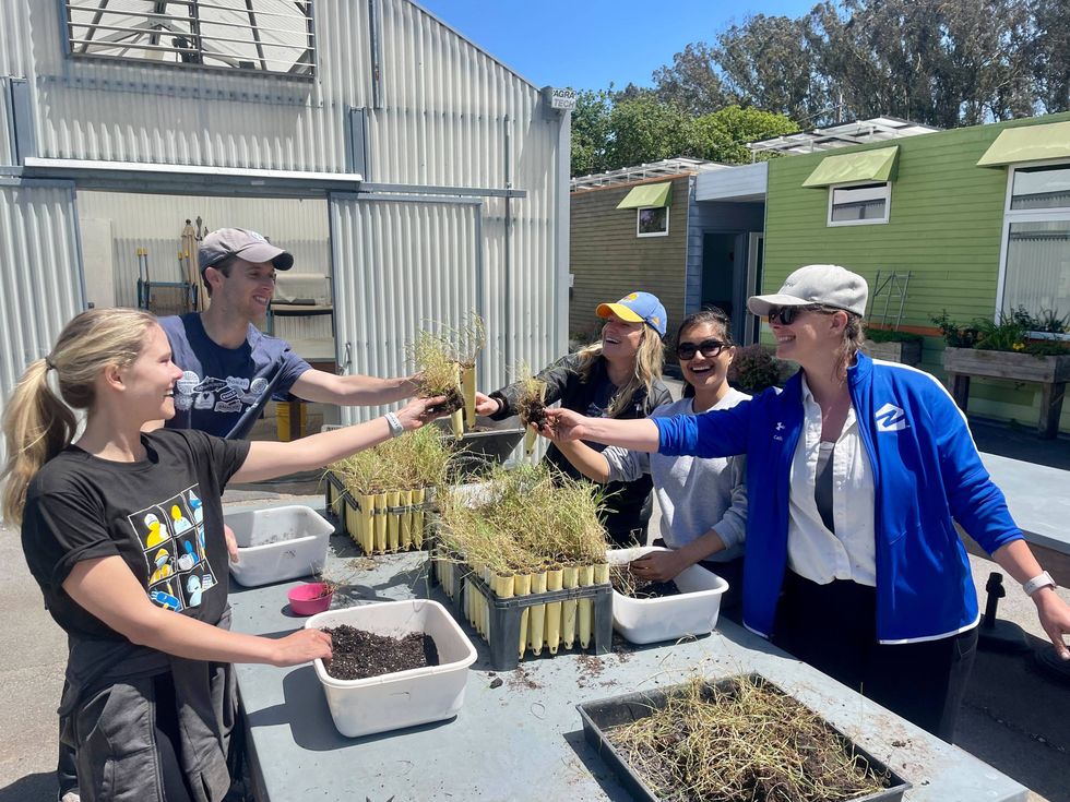 A group of people smiling and working together to transplant seedlings at an outdoor table.