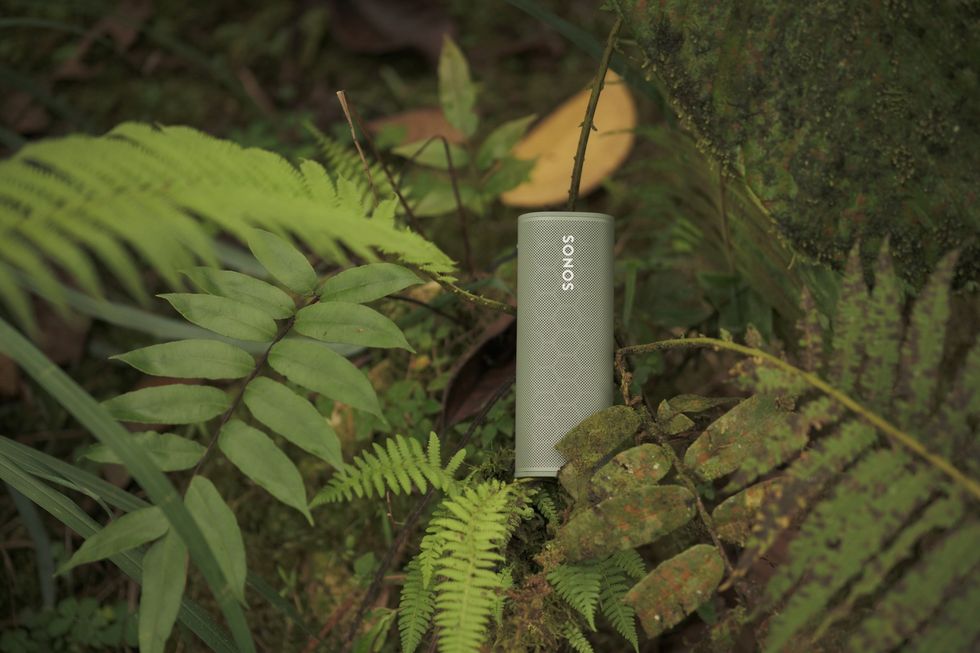 A Sonos speaker in the forest