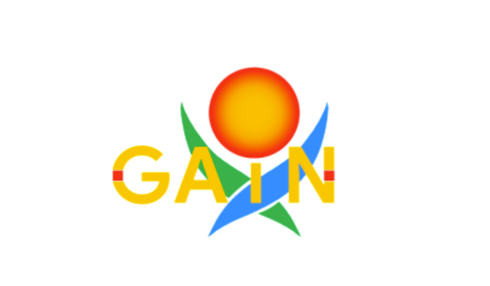 GAIN logo for Google's GAIN ERG