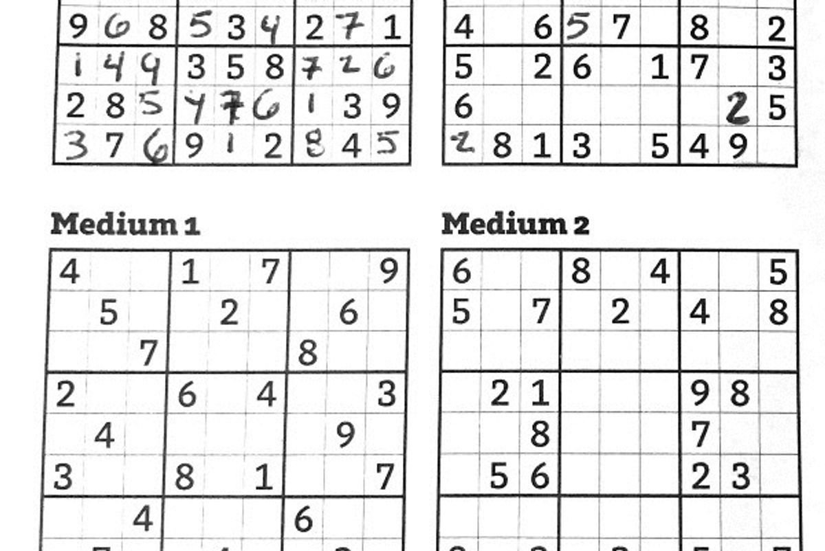 How to use Integer Linear Puzzling to Attain Sudoku Fame & Fortune