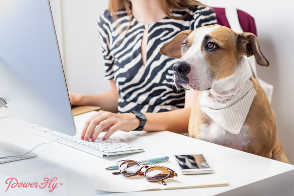7 Dog-Friendly Companies Hiring Now!