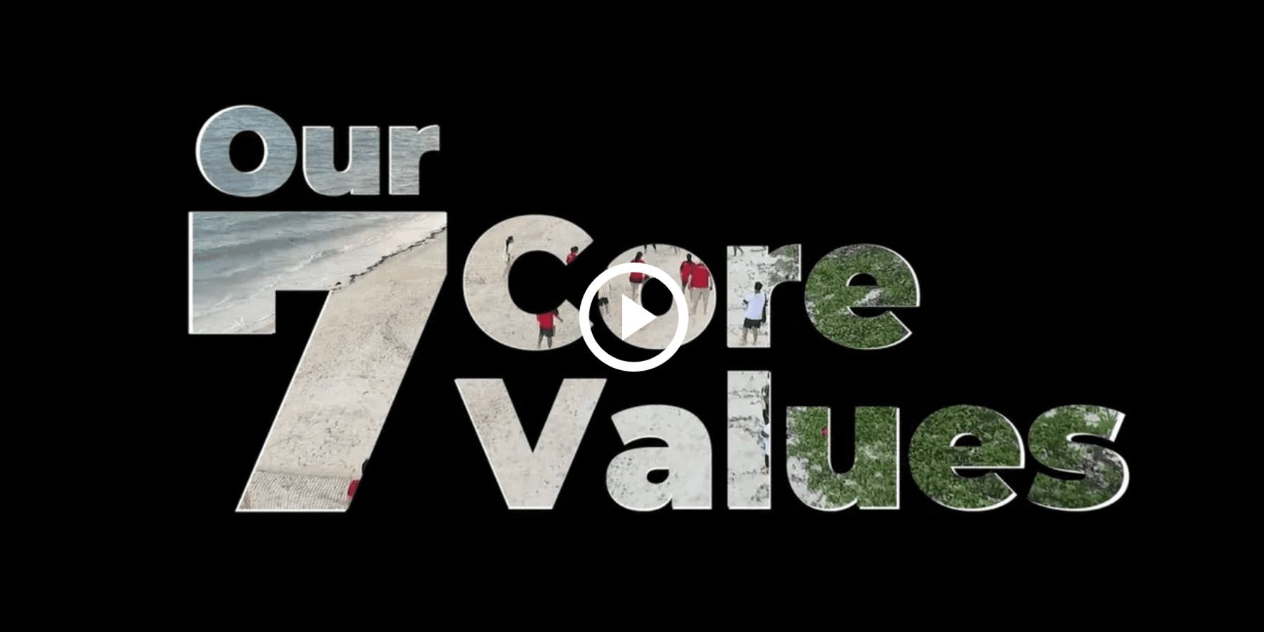 SoftwareONE Core Values