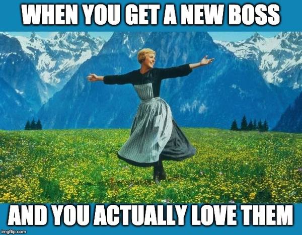 Love Your Boss meme - when you get a new boss and actually love them (The Sound of Music Meme)