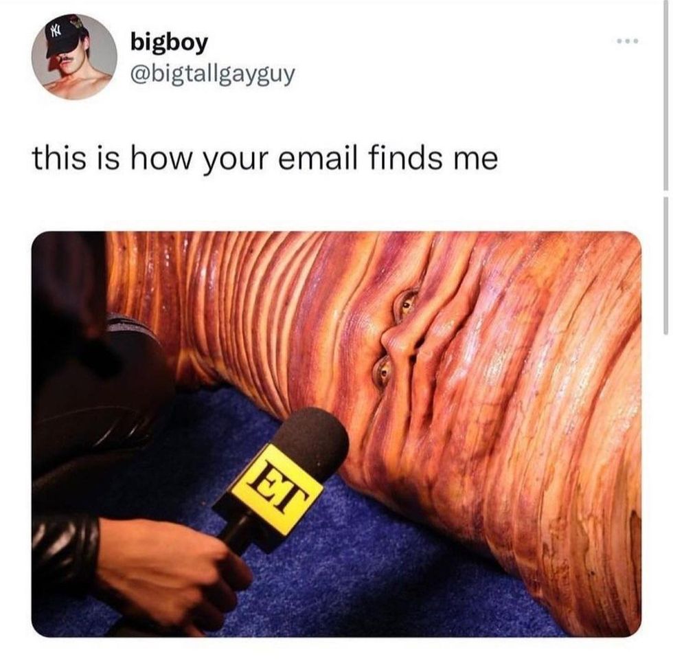 work from home meme featuring tweet from @bigtallgayguy that is captioned "this is how your email finds me" with a picture of a passed out alien